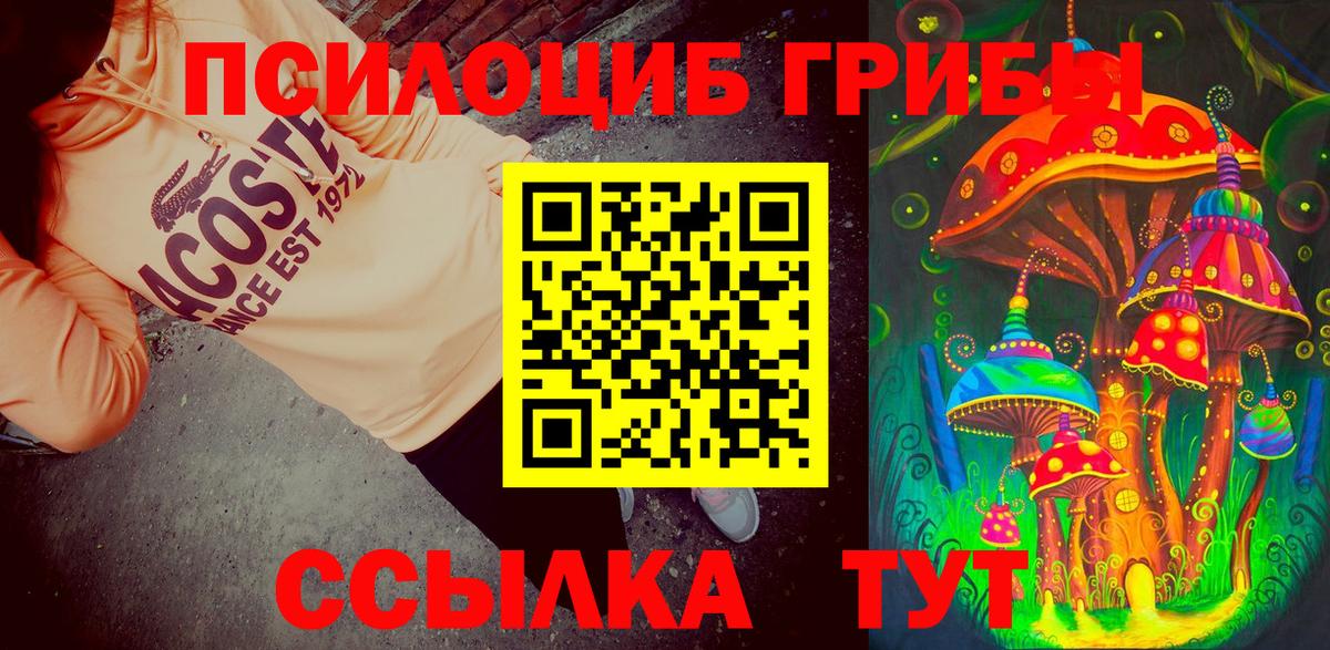 где найти   Галлюциногенные грибы Psilocybe  Псилоцибиновые грибы Cubensis  Вход с VPN  Гай 